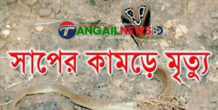 মির্জাপুরে সাপের কামড়ে দুই বছরের শিশুর মৃত্যু