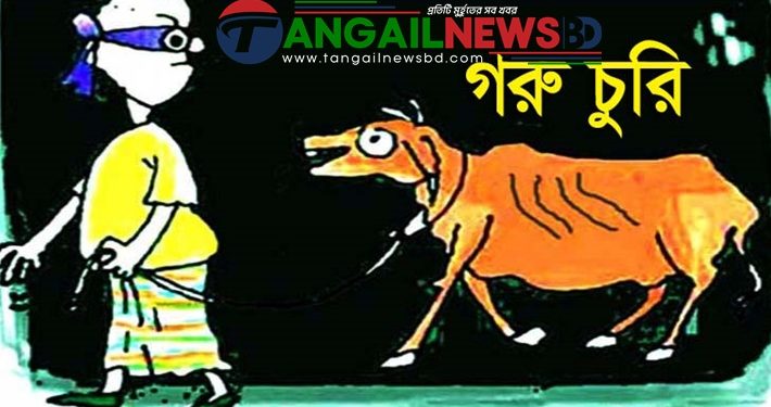 মির্জাপুরে এক রাতে দুই কৃষকের ৭টি গরু চুরি