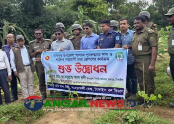 সখীপুরে বন বিভাগ সংরক্ষিত শালবনের ১৩ একর জমি উদ্ধার