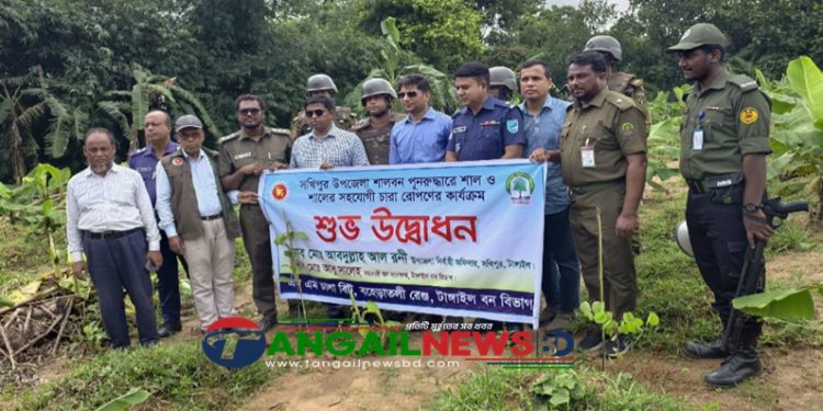 সখীপুরে বন বিভাগ সংরক্ষিত শালবনের ১৩ একর জমি উদ্ধার