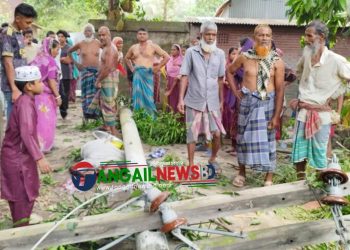 মির্জাপুরে বিদ্যুতের খুঁটির নিচে চাপা পড়ে বৃদ্ধ নিহত