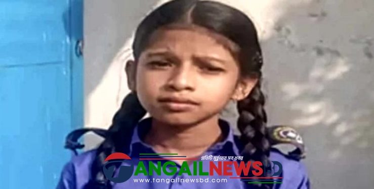 সখীপুরে বিদ্যালয়ে নির্মাণাধীন মুরাল ভেঙ্গে শিক্ষার্থীর মৃত্যু