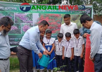 দেলদুয়ারে ১শ’ প্রাথমিক বিদ্যালয়ে গাছের চারা রোপন