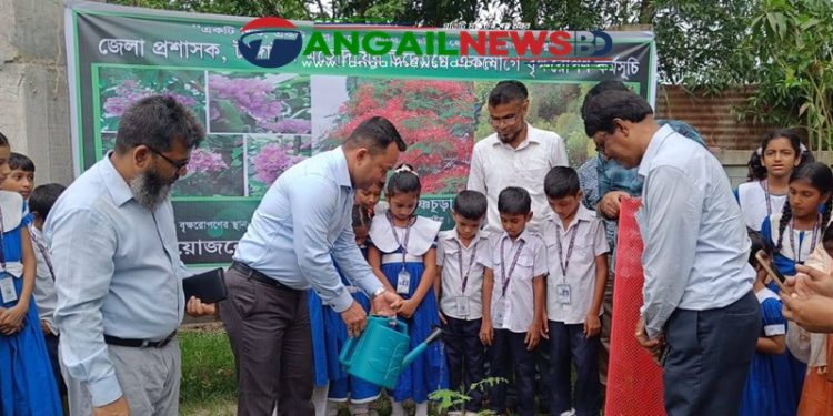 দেলদুয়ারে ১শ’ প্রাথমিক বিদ্যালয়ে গাছের চারা রোপন