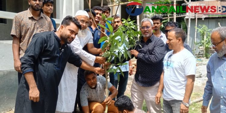 টাঙ্গাইলে পরিবেশ রক্ষায় বিভিন্ন শিক্ষা প্রতিষ্ঠানে টুকুর পক্ষে বৃক্ষরোপণ