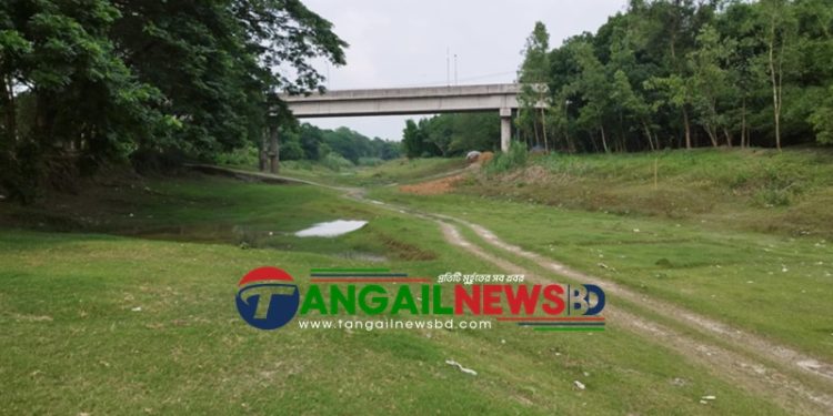 মির্জাপুরে ধলেশ্বরীর শাখা বারিন্দা নদীর নাব্যতা সংকট ॥ খননের দাবি