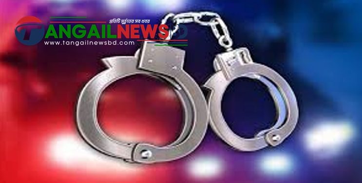 সখীপুরে ইয়াবাসহ মাদক কারবারীকে গ্রেপ্তার