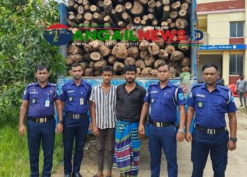 মির্জাপুরে ৫ লাখ টাকার চোরাই গাজারী কাঠসহ ৬ জন গ্রেপ্তার