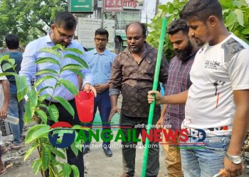 কালিহাতীতে দখলমুক্ত ফুটপাতে শোভাবর্ধনে ফুলের গাছ রোপণ