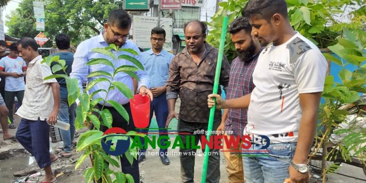 কালিহাতীতে দখলমুক্ত ফুটপাতে শোভাবর্ধনে ফুলের গাছ রোপণ