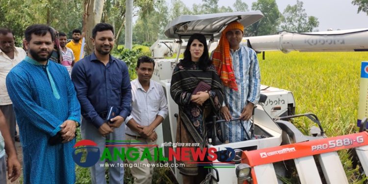 ঘাটাইলে কম্বাইন হারভেষ্টারের মাধ্যমে সমলয়ে ধান কর্তনের উদ্বোধন