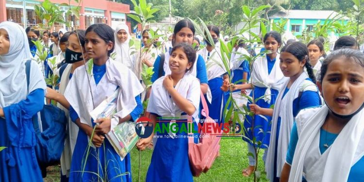 টাঙ্গাইলে স্কুল কলেজ ও শিক্ষা প্রতিষ্ঠানে টুকুর পক্ষ  থেকে বৃক্ষরোপণ