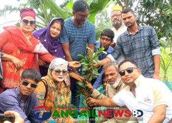 টাঙ্গাইলের কাকুয়া ইউনিয়নের শিক্ষাপ্রতিষ্ঠানে বিনামূল্যে গাছের চারা বিতরণ