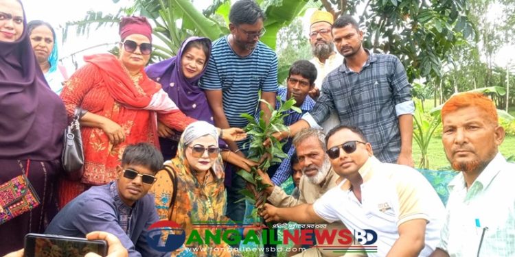 টাঙ্গাইলের কাকুয়া ইউনিয়নের শিক্ষাপ্রতিষ্ঠানে বিনামূল্যে গাছের চারা বিতরণ
