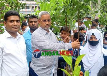 টাঙ্গাইলের জাহ্নবী উচ্চ বিদ্যালয়  বিনামূল্যে গাছের চারা বিতরণ 