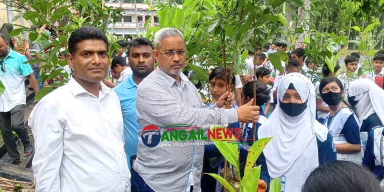 টাঙ্গাইলের জাহ্নবী উচ্চ বিদ্যালয়  বিনামূল্যে গাছের চারা বিতরণ 