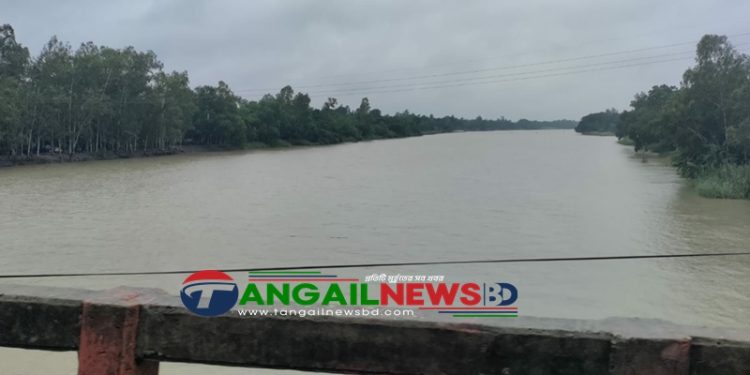টাঙ্গাইলে অভ্যন্তরীণ নদ নদীর পানি বাড়ছে