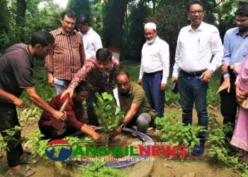 টাঙ্গাইল এলজিইডির বৃক্ষরোপণ কর্মসূচি পালিত