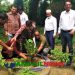 টাঙ্গাইল এলজিইডির বৃক্ষরোপণ কর্মসূচি পালিত