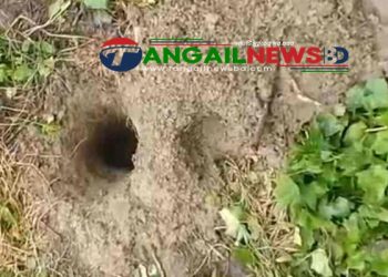 মির্জাপুরের গোড়াইয়ে কবরস্থান থেকে ৬টি কঙ্কাল চুরি