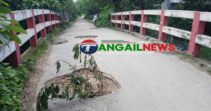 দেলদুয়ারে ৪০ বছরের পুরাতন সেতুতে চারটি গর্তের সৃষ্টি ॥ ১২ গ্রামের দুর্ভোগ