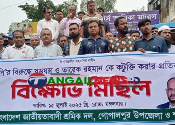 বিএনপির বিরুদ্ধে ষড়যন্ত্র ও তারেককে কটুক্তির প্রতিবাদে গোপালপুরে মিছিল
