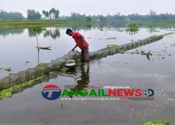 ঘাটাইলে দেশীয় ও ডিমওয়ালা মা-মাছ ধরার ফাঁদ চায়না জালের ছড়াছড়ি