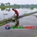 ঘাটাইলে দেশীয় ও ডিমওয়ালা মা-মাছ ধরার ফাঁদ চায়না জালের ছড়াছড়ি