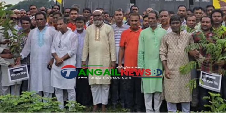 টাঙ্গাইলে শহীদদের স্মরণে কৃষকদলের বৃক্ষ রোপন কর্মসূচি