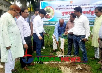 মির্জাপুরে মাধ্যমিক বিদ্যালয়ে কৃষ্ণচূড়া সোনালু ও জারুল গাছের চারা রোপন