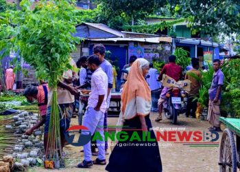 গোপালপুরে অবাধে বিক্রি হচ্ছে নিষিদ্ধ ইউক্যালিপটাস গাছের চারা