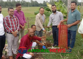 মধুপুরে সৌন্দর্য ও পরিবেশের ভারসাম্য রক্ষায় তালগাছ রোপন কার্যক্রম