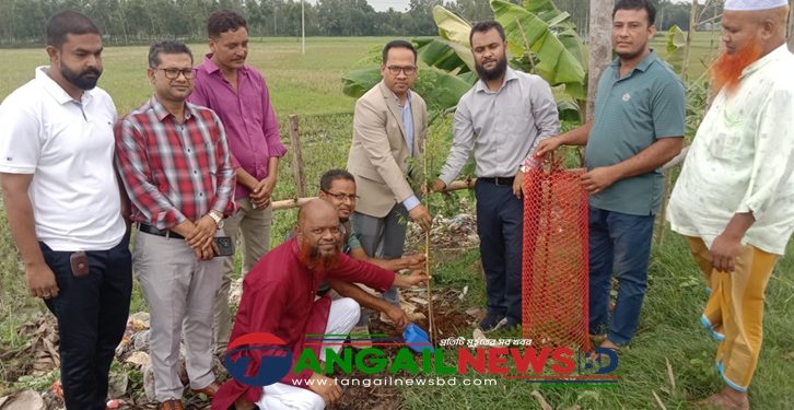 মধুপুরে সৌন্দর্য ও পরিবেশের ভারসাম্য রক্ষায় তালগাছ রোপন কার্যক্রম