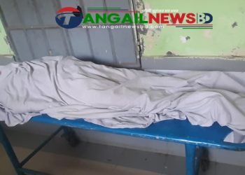 কালিহাতীতে প্রাইভেটকার চাপায় বৃদ্ধা নিহত ॥ চালক আটক