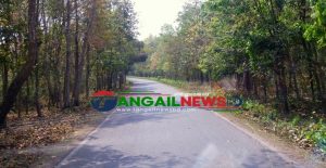 মধুপুরে বন সড়কে গাড়ি চাপায় নারীর মৃত্যু