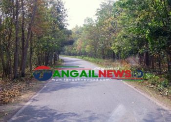 মধুপুরে বন সড়কে গাড়ি চাপায় নারীর মৃত্যু