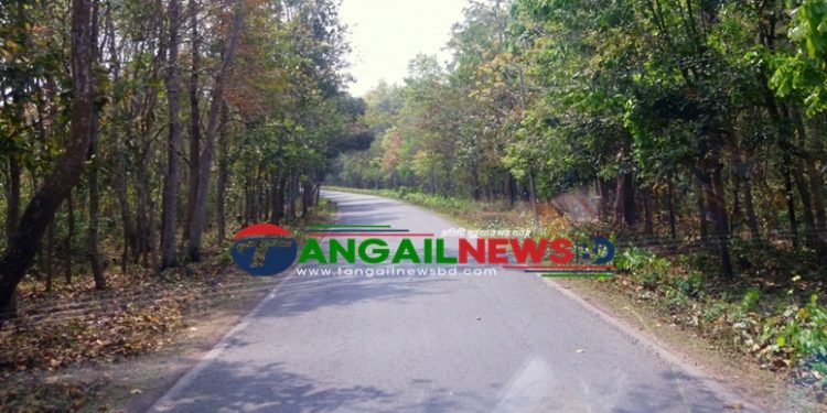 মধুপুরে বন সড়কে গাড়ি চাপায় নারীর মৃত্যু