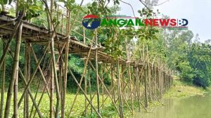 নাগরপুরে চব্বিশ গ্রামের যাতায়াতের ভরসা ঝুঁকিপূর্ণ সাঁকো