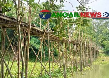 নাগরপুরে চব্বিশ গ্রামের যাতায়াতের ভরসা ঝুঁকিপূর্ণ সাঁকো