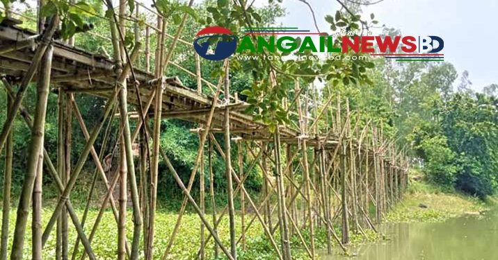 নাগরপুরে চব্বিশ গ্রামের যাতায়াতের ভরসা ঝুঁকিপূর্ণ সাঁকো