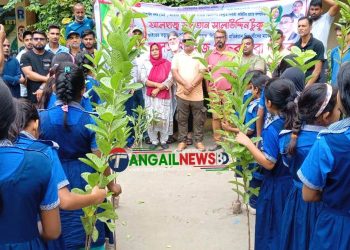 টাঙ্গাইলে শিক্ষা প্রতিষ্ঠানে বিনামূল্যে গাছের চারা বিতরণ