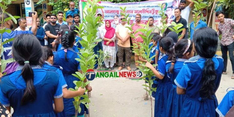 টাঙ্গাইলে শিক্ষা প্রতিষ্ঠানে বিনামূল্যে গাছের চারা বিতরণ