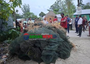 গোপালপুরে অবৈধ জাল জব্দ ও আগুনে পুড়ে ধ্বংস