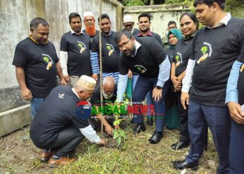 কালিহাতীতে দেশি ফুলের বৃক্ষরোপণ