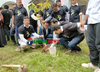 মধুপুরে জারুল কৃষ্ণচূড়া সোনালুর সৌন্দর্যে শোভাসিত হবে ১১০ শিক্ষা প্রতিষ্ঠান
