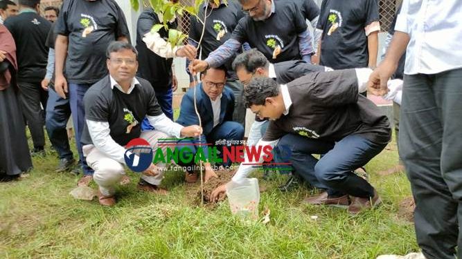 মধুপুরে জারুল কৃষ্ণচূড়া সোনালুর সৌন্দর্যে শোভাসিত হবে ১১০ শিক্ষা প্রতিষ্ঠান