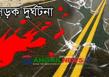 মধুপুরে নাতীকে দেখতে এসে সড়ক দুর্ঘটনায় প্রান গেল দাদীর