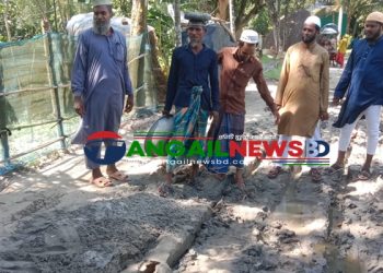 গোপালপুরে জামায়াতের পক্ষে বাইশকাইলের বিভিন্ন রাস্তার সংস্কার