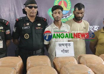 টাঙ্গাইলে ৪৯ কেজি গাঁজাসহ তিনজনকে গ্রেফতার করেছে র‌্যাব