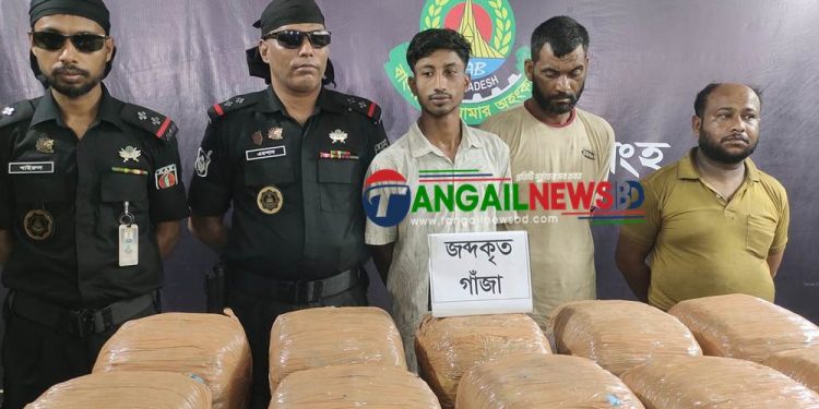 টাঙ্গাইলে ৪৯ কেজি গাঁজাসহ তিনজনকে গ্রেফতার করেছে র‌্যাব